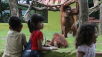Pentingnya Zoo Educator untuk Kebun Binatang Bandung