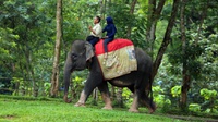 Tunggang Gajah Jadi Favorit Wisata Lebaran di Way Kambas