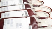 Kantong Darah HIV di TPS, Kemenkes: Bukti Pelanggaran Prosedur