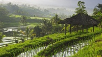  Pemerintah Anugerahi 10 Desa Wisata Terbaik di Indonesia