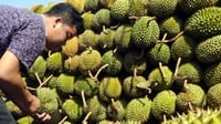 Manfaat Durian, dari Lancarkan Pencernaan hingga Stabilkan Darah