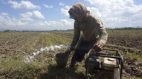 Pengamat Khawatir Perubahan Iklim Pengaruhi Sektor Pertanian