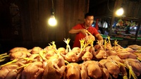 Inflasi Juni 0,18% Dipicu Kenaikan Harga Ayam dan Angkutan Udara