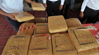Polisi Gagalkan Penyelundupan 480 Kilogram Ganja di Aceh