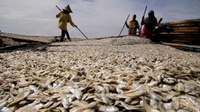 Indonesia akan Ekspor Produk Perikanan $143 Juta ke Korea Selatan