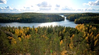 Finlandia Negara Paling Bahagia di Bumi Menurut Laporan PBB