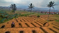 Mentan Ingin Indonesia Terus Mengekspor Bawang Merah