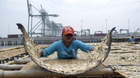 Industri Pengasinan Ikan Terkendala Pasokan Garam