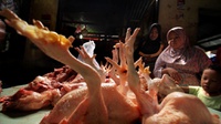 Mendag Tetapkan Kelonggaran Harga Daging Ayam Hingga Lebaran 