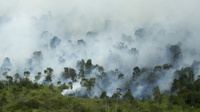 Kebakaran 12 Hektare Hutan Gunung Rinjani Masih Diselidiki 