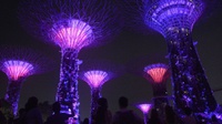 Pemerintah Diminta Tiru Singapura untuk Kembangkan Sektor Jasa