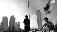 Kepakan Merpati di Langit Jakarta