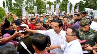 Jokowi Pimpin Peremajaan Kebun Kelapa Sawit di Sumsel