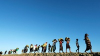 Setengah Juta Warga Rohingya Mengungsi dalam 2 Bulan 