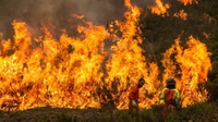 Mendagri Portugal Mundur Usai Kebakaran Hutan Tewaskan 100 Orang