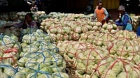 BPS: Impor Sayuran Melonjak 140,9 Persen pada November 2018