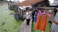 Kampung Apung Puluhan Tahun Tenggelam Tanpa Penanganan