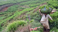 KPA: Bagi-Bagi Tanah Karyawan PTPN Tak Selesaikan Konflik Agraria