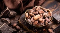 Pengusaha Berencana Tambah Kuota Impor Kakao Jika PPN Jadi 0%