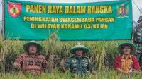 Pelibatan TNI Bantu Bulog Serap Beras Petani Salah Kaprah