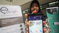 Indonesia Jadi Pengguna Software Bajakan Tertinggi di Asia Pasifik