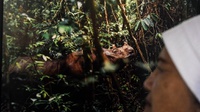 Citra Badak Sumatera Dalam Karya Rupa