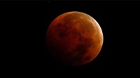 Gerhana Bulan Total-Blue Moon 31 Januari Tampak Jelas di Indonesia
