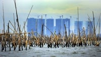 KKP akan Tertibkan Penggunaan Bagan Tancap di Perairan Dadap