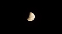 Video 60 Detik Gerhana Bulan Super Blue Blood Moon dari NASA