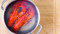 Pro-Kontra Merebus Lobster Hidup-Hidup: Krustasea Pun Merasa Sakit?