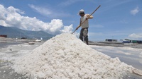 Garam Impor 676 Ribu Ton Segera Tiba, Sebagian dari Cina dan India