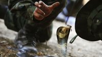 Daftar Rumah Sakit yang Sediakan Serum Anti Bisa Cobra di Jakarta