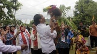 Tradisi Ultah Presiden Jokowi dari Tahun ke Tahun: Blusukan