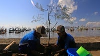 Ucapan Hari Menanam Pohon Indonesia 2023 di Sosial Media