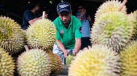 J-Queen dan Durian-Durian Termahal di Dunia