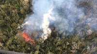 Jalan Pantura Sempat Macet Akibat Kebakaran Hutan di Situbondo
