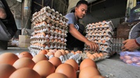Harga Telur Capai Rp29 Ribu, Pemkot Bandung Akan Cek ke Produsen