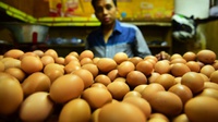 Harga Telur Ayam di Mataram Naik Pekan Ini