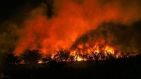 Kebakaran Lahan Terjadi di Kawasan Ogan Komering Ilir Sumsel