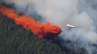 Kebakaran Hutan Mengintai Dunia