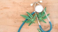 Lebanon Resmi Legalkan Tanam Ganja untuk Obat dan Kebutuhan Medis