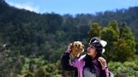 8 Rekomendasi OOTD Outfit ke Dieng yang Nyaman & Stylish