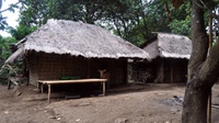 Resep Rumah Tahan Gempa: Bangunlah dengan Bambu!