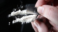Kasus Kokain dalam Tubuh Udang di Perairan Inggris, Bagaimana Bisa?