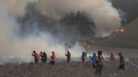 Kebakaran di Padang Savana Gunung Bromo Berhasil Dipadamkan Petugas