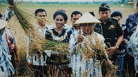 Swasembada Beras ala Soeharto: Rapuh dan Cuma Fatamorgana