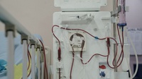 BPJS Putus Kontrak Dengan RS, KPCDI: Pasien Cuci Darah Kalang Kabut