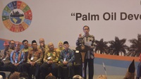 Soal Sawit, Jokowi: Tak Usah Perbesar Lahan, Naikkan Produktivitas