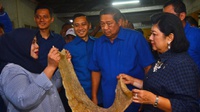 Jejak Ani Yudhoyono dan Masa Depan Demokrat Usai Ia Meninggal