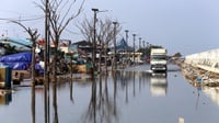 Banjir Rob Melanda Kawasan Muara Baru
